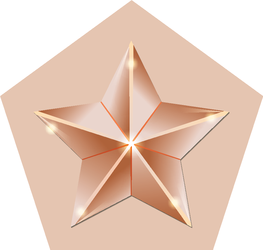 Bronze membership